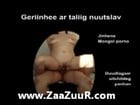 Mongolian home porno video www ZAAZUUR com