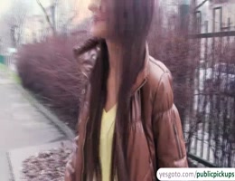 Beautiful Alexis gets paid to show her tits in public and she gets fucked