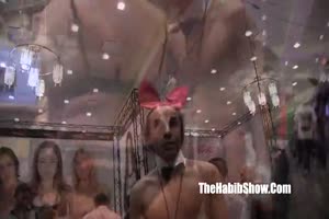 pornstars and avn freaks expo 2016