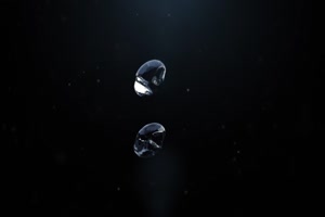 cynthia Velons et victoria Pure font pip