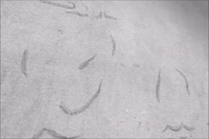 la bbw à lunette lyla everwett se masturbe dans les escaliers