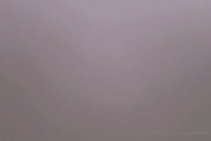 pov : bunny Alina Kim te suce!