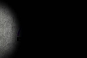 magnifique bbw blonde aux formes plus que généreuses baise avec un chauve