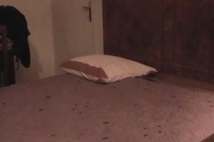 amateur : une femme mure s'offre à un black