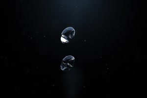 Piss of Xmas present : le pipi de noel