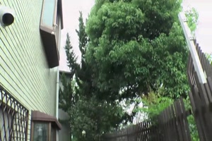 jeux coquins avec un vibro qu'il glisse dans la culotte de cette japonaise