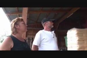 paysan démonte mamie dans le foin