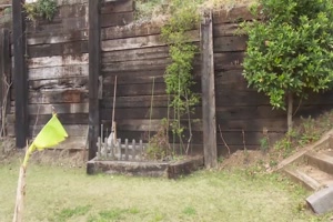 pov : quand la nippone maki te suce dans le jardin et t'invite chez elle pour jouer avec des vibros pov : quand la nippone maki te suce dans le jardin et t'invite chez elle pour jouer avec des vibros