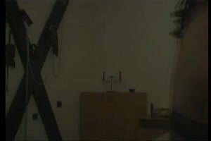 une vieille chatte poilue se tape un jeune