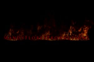 mandy flores suce une dans un gloryhole