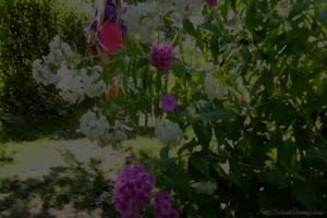 cfnm et pissing en trio dans le jardin avec deux blondes cochonnes